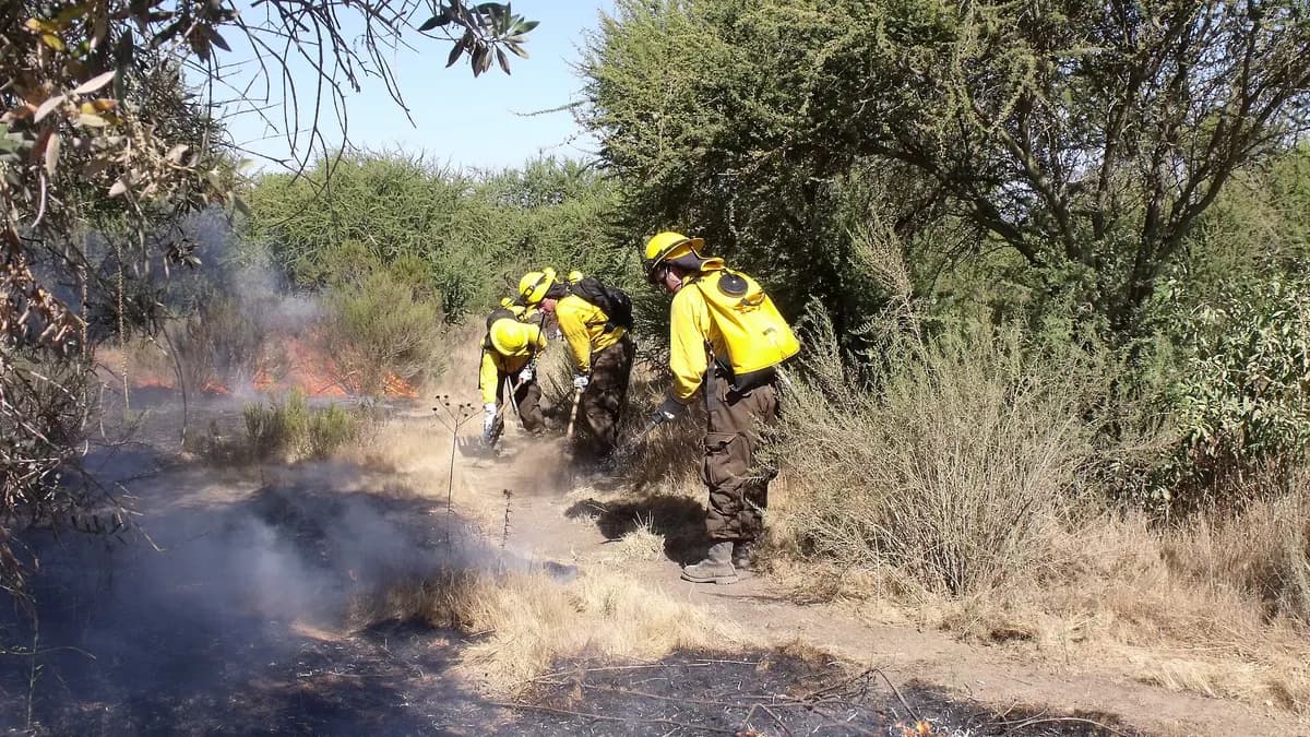 Temporada de incendios forestales 2026-2027: Conaf anticipa meses "muy complejos" y lo que deben saber los viajeros