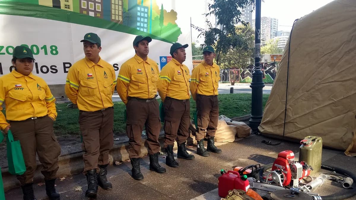 Brigadistas de Conaf con uniforme amarillo junto a sus herramientas de combate