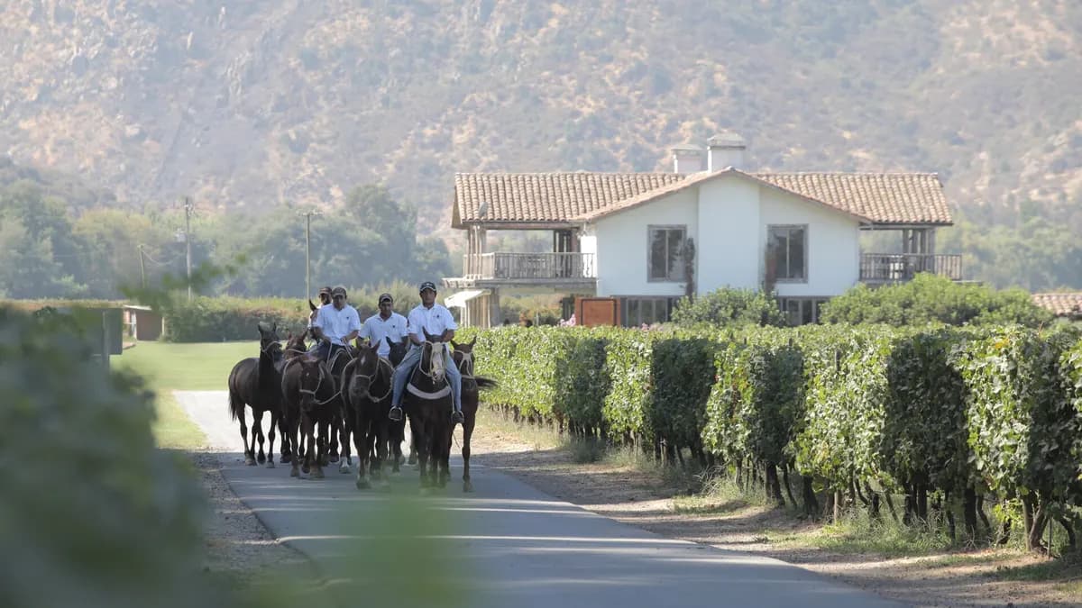 Jinetes y viñedos frente a una casona en el Valle de Colchagua