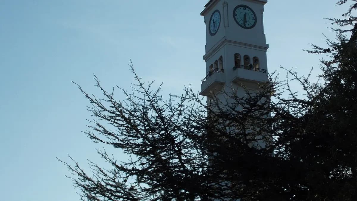 Campanil de la Universidad de Concepción entre árboles
