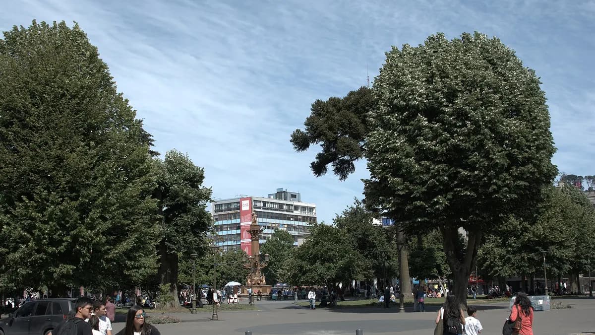 Qué hacer en Concepción: 12 panoramas en la capital del Biobío