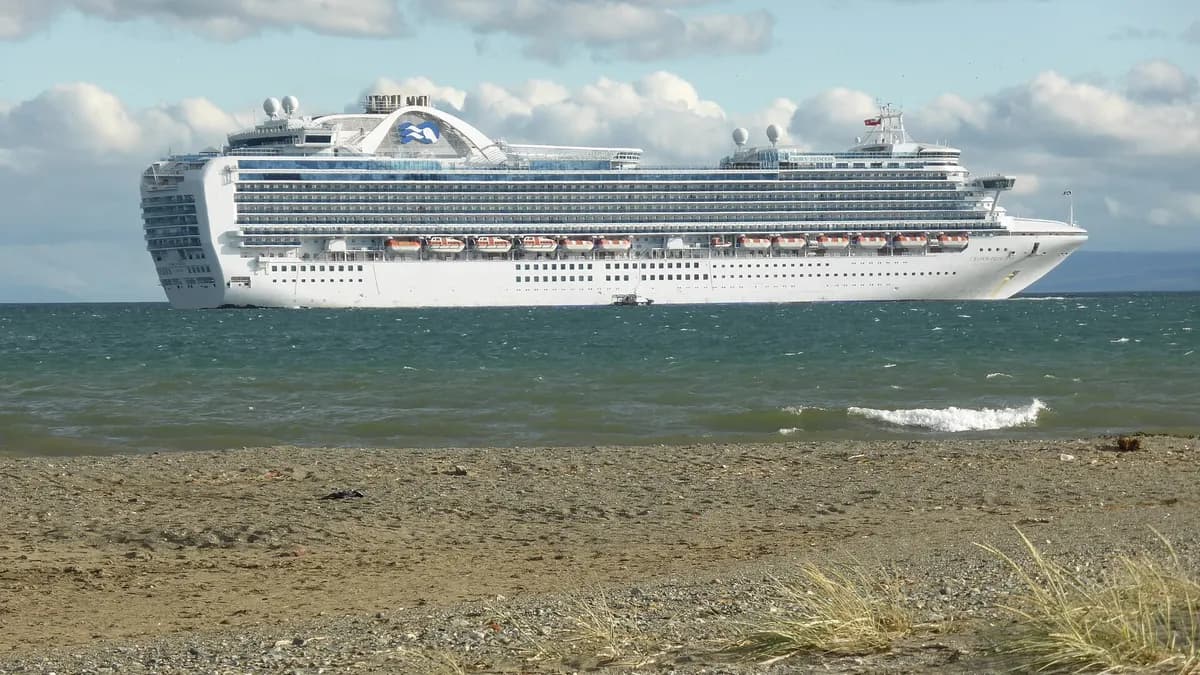 Gran crucero navegando por el estrecho de Magallanes con la costa patagónica en primer plano