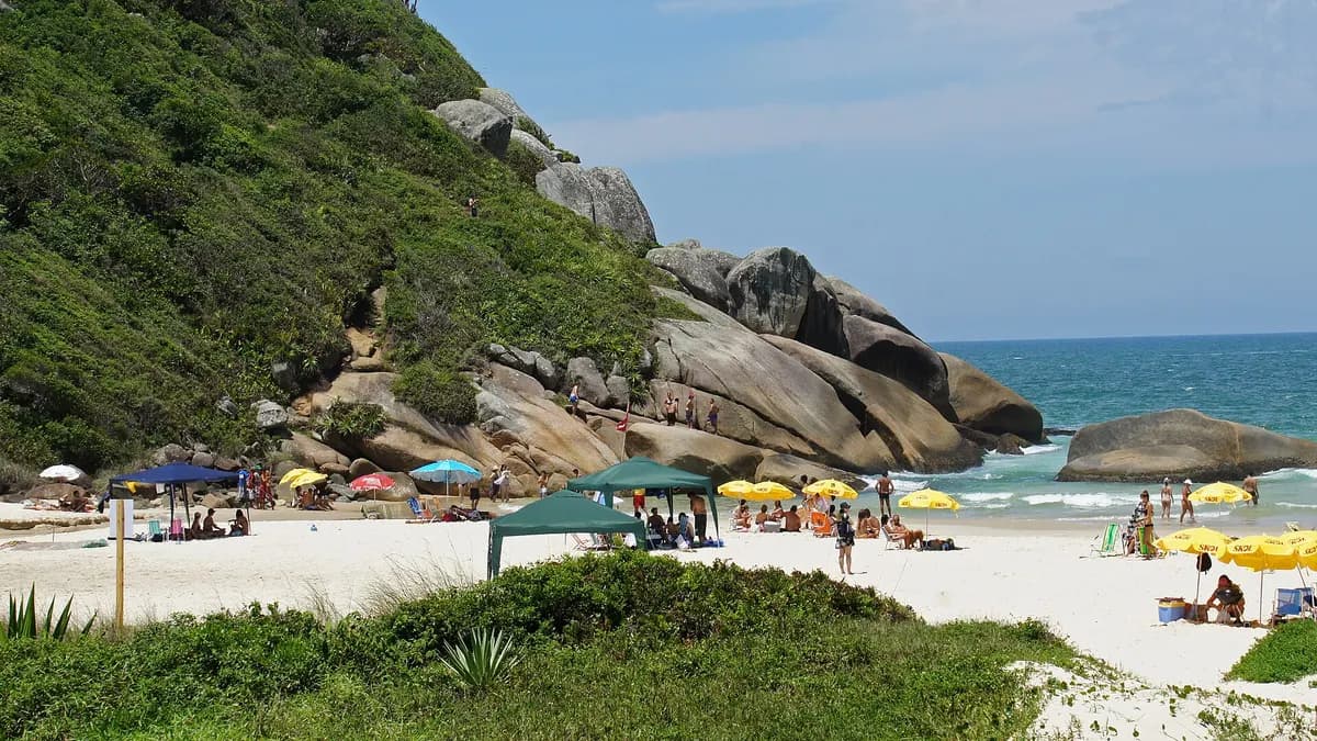 Playa Brava de Florianópolis con arena clara, olas y edificios al fondo