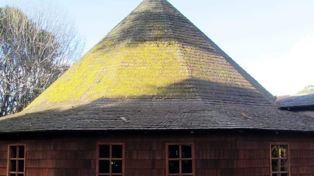 Campanario de madera de forma octogonal con techo de tejuela cubierto de musgo