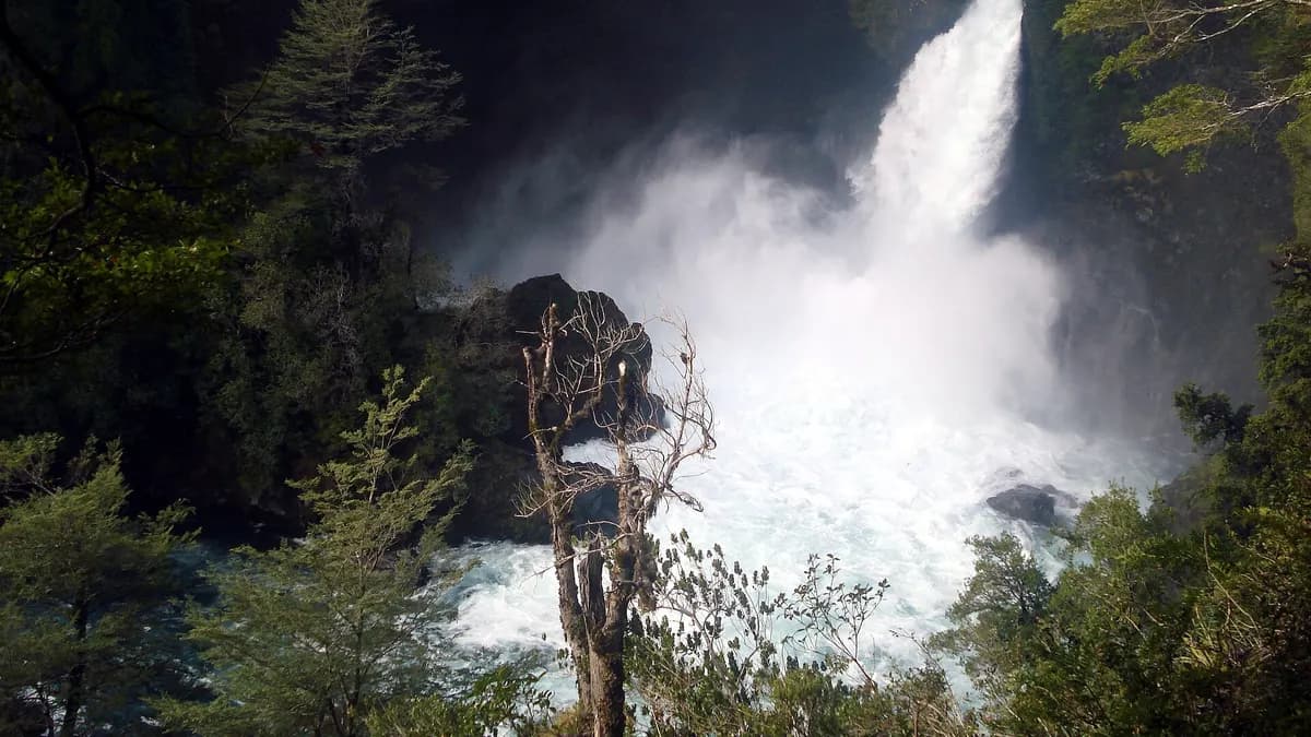 Salto del Huilo Huilo con agua blanca cayendo entre el bosque