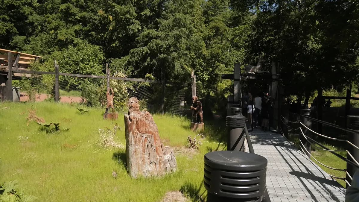 Pasarela de madera con esculturas talladas en la Reserva Huilo Huilo