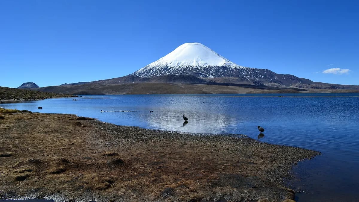 Parque Nacional Lauca: cómo llegar al lago Chungará, senderos y consejos para la altura