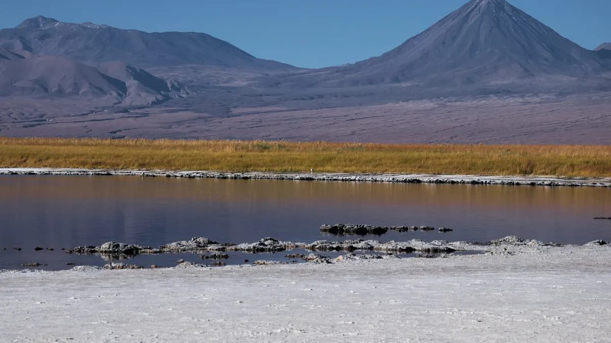 Laguna Cejar: precio de la entrada 2026, cómo llegar y dónde se puede flotar