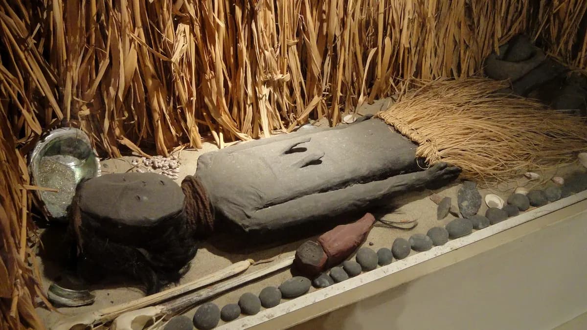 Momia de la cultura Chinchorro con máscara y cuerpo recubierto expuesta en una vitrina