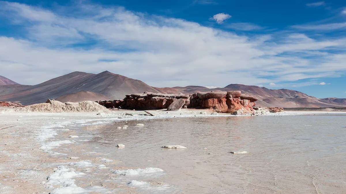 Piedras Rojas y lagunas altiplánicas: cómo llegar, entradas y qué ver en el salar de Aguas Calientes