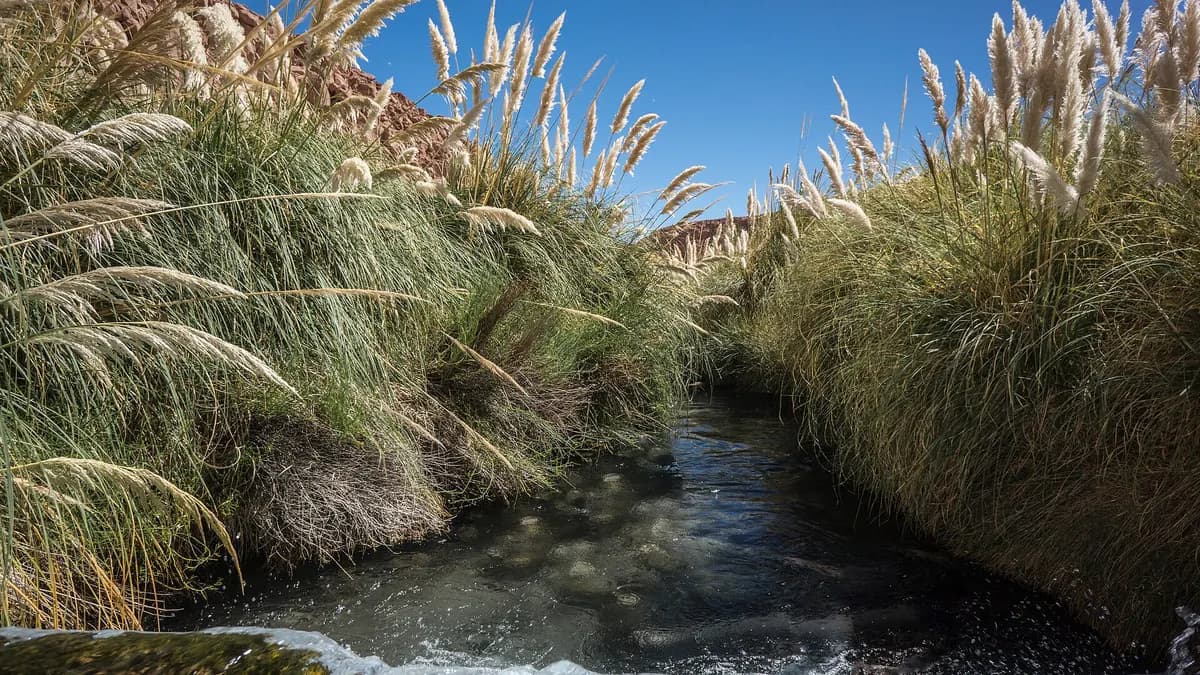 Termas de Puritama: precio de la entrada, horarios y cómo llegar desde San Pedro de Atacama