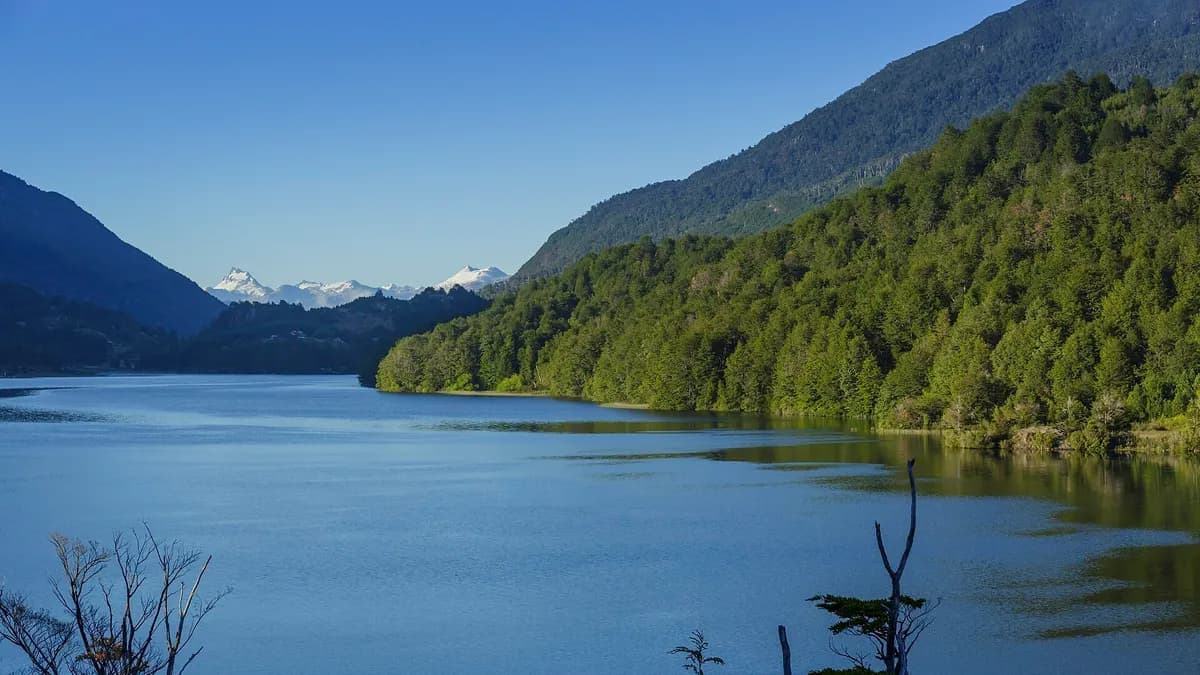 Le fjord de Puyuhuapi et des montagnes couvertes de forêt dans le parc national Queulat