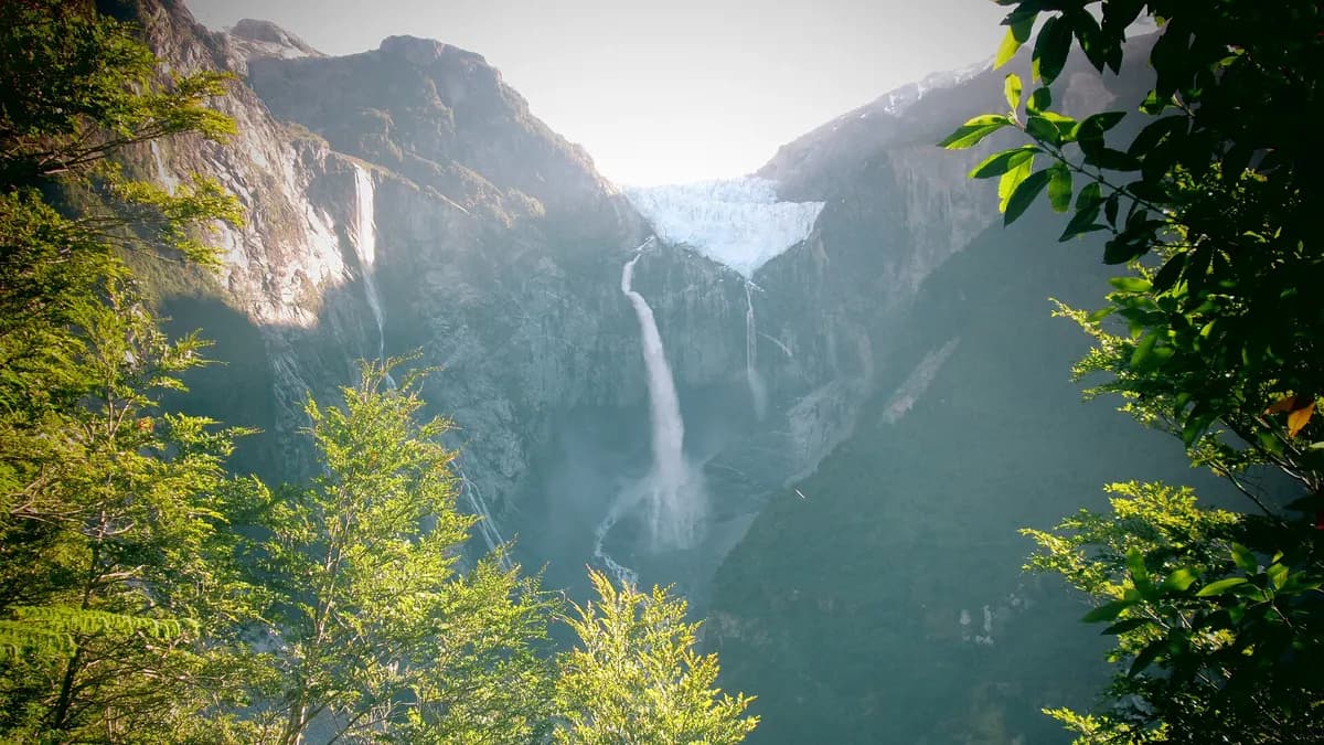 Parque Nacional Queulat: guía del Ventisquero Colgante, senderos, horarios y cómo llegar