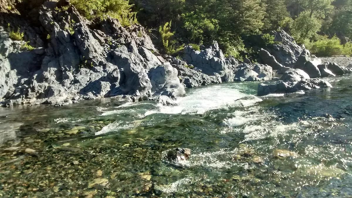 Río Claro corriendo entre rocas oscuras y bosque nativo en Radal Siete Tazas
