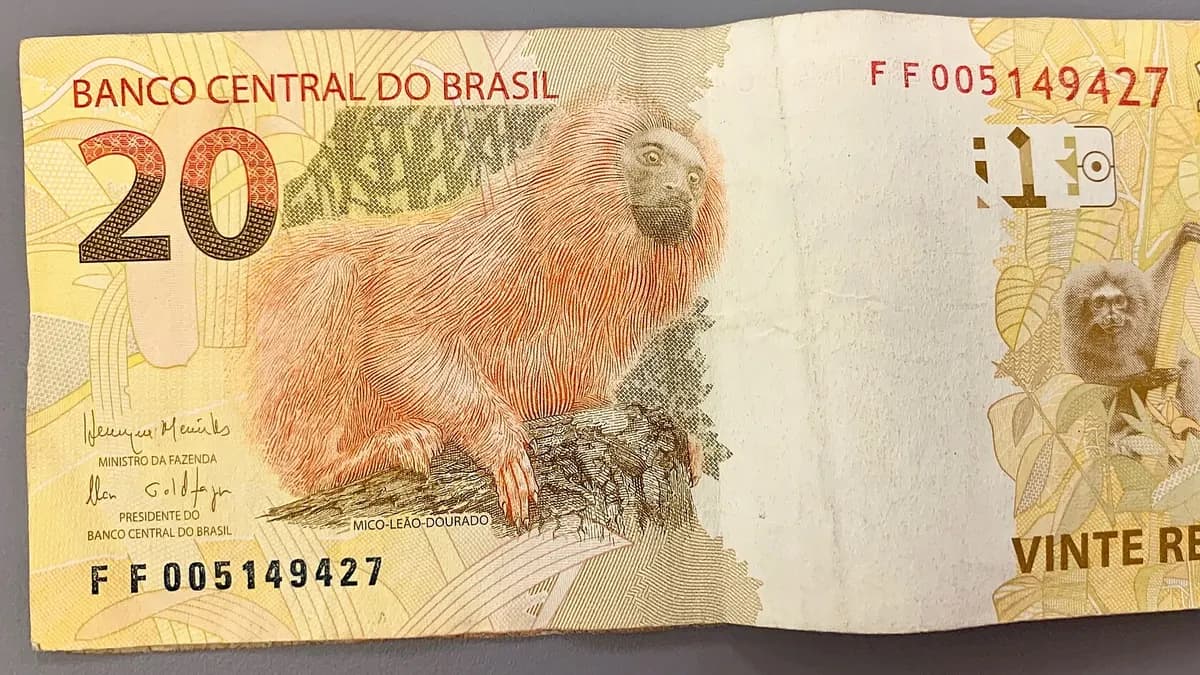 El real brasileño cae frente al peso chileno tras las elecciones: viajar a Chile cuesta cerca de 8% más a los turistas de Brasil