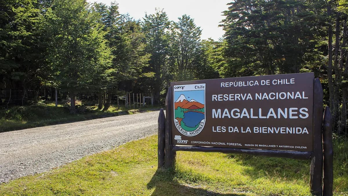 Rural buses to Magallanes parks: schedules and fares from CLP 320 to the Magallanes Reserve and CLP 1,300 to Torres del Paine