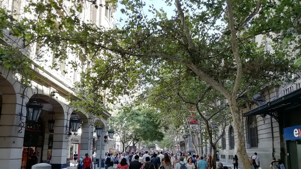 Dólar roza los $1.000: qué significa para los turistas que viajan a Chile
