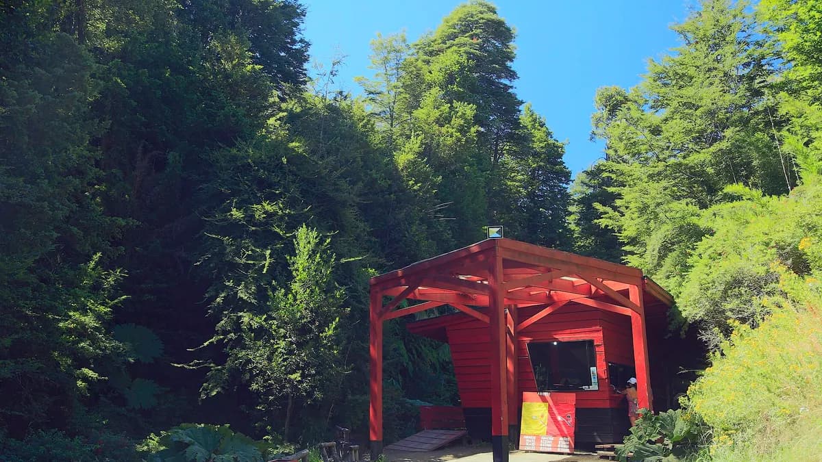 Caseta roja de acceso a las Termas Geométricas rodeada de bosque