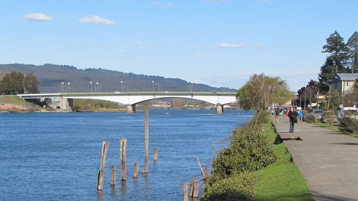 Qué hacer en Valdivia: ríos, fuertes españoles, cerveza y naturaleza