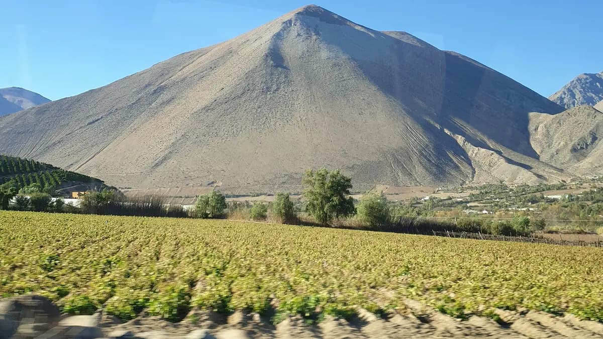 Valle del Elqui con cerros áridos y viñedos