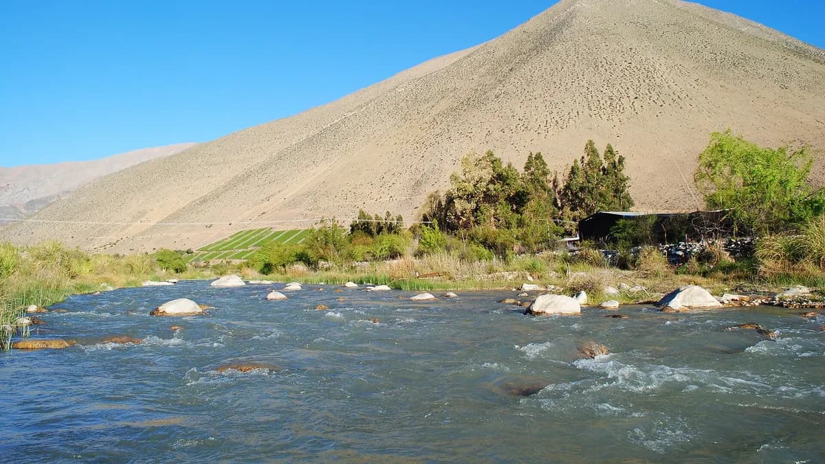 Valle del Elqui con cerros áridos, viñedos verdes y un río en el fondo del valle