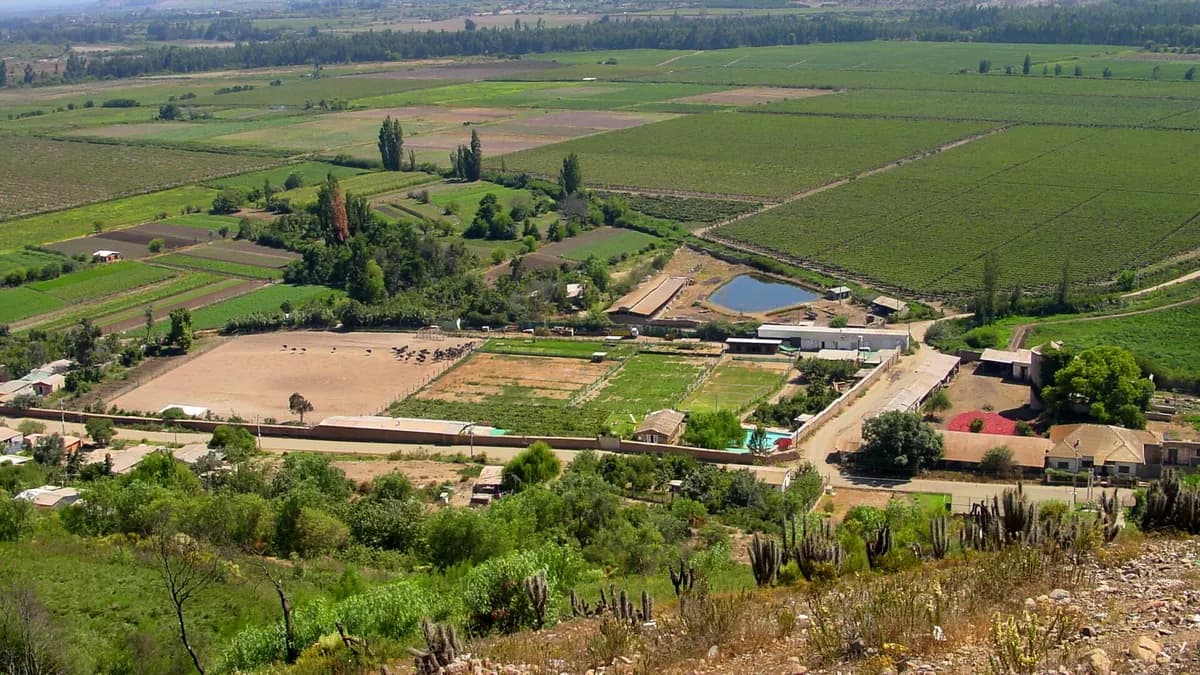 Campos verdes y parcelas agrícolas en el valle del río Limarí