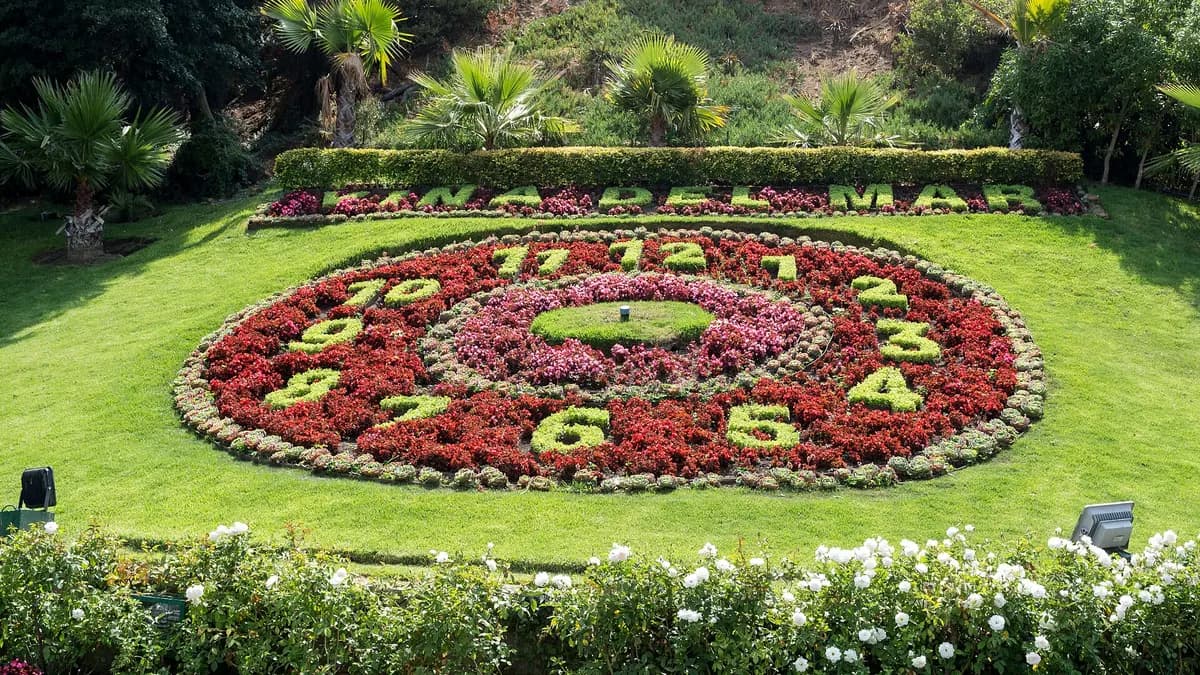Qué hacer en Viña del Mar: Reloj de Flores, Castillo Wulff, Quinta Vergara y playas