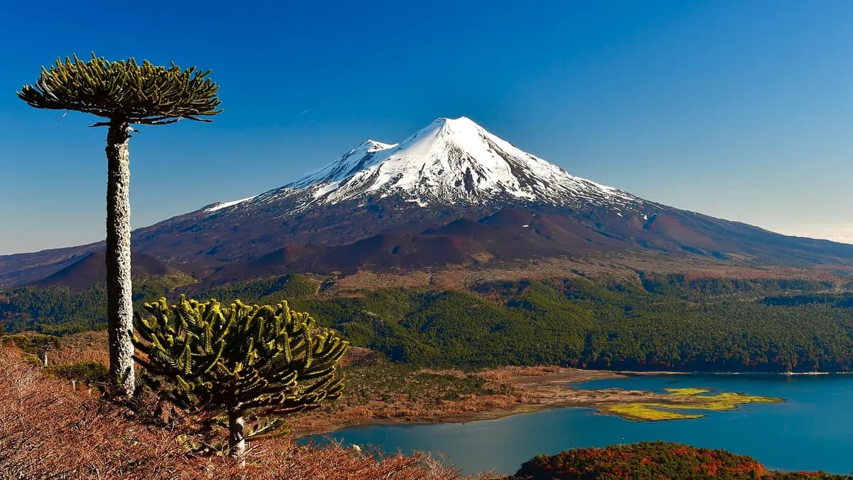 Volcán Llaima nevado sobre la laguna Conguillío